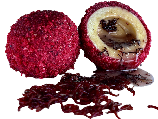 LK Baits Nutrigo Monster Live Blood Woorm 25-30mm 250ml 8 pz