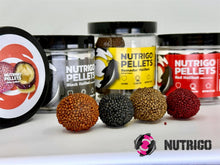 LK Baits Nutrigo Pellets Chilli Halibut 250ml 24mm