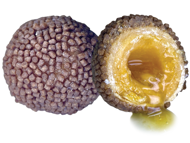 LK Baits Nutrigo Pellets Romadur Halibut 250ml 24mm